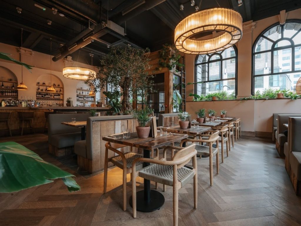 Olive Tree Brasserie Interiors with wood furnishings and greenery.
